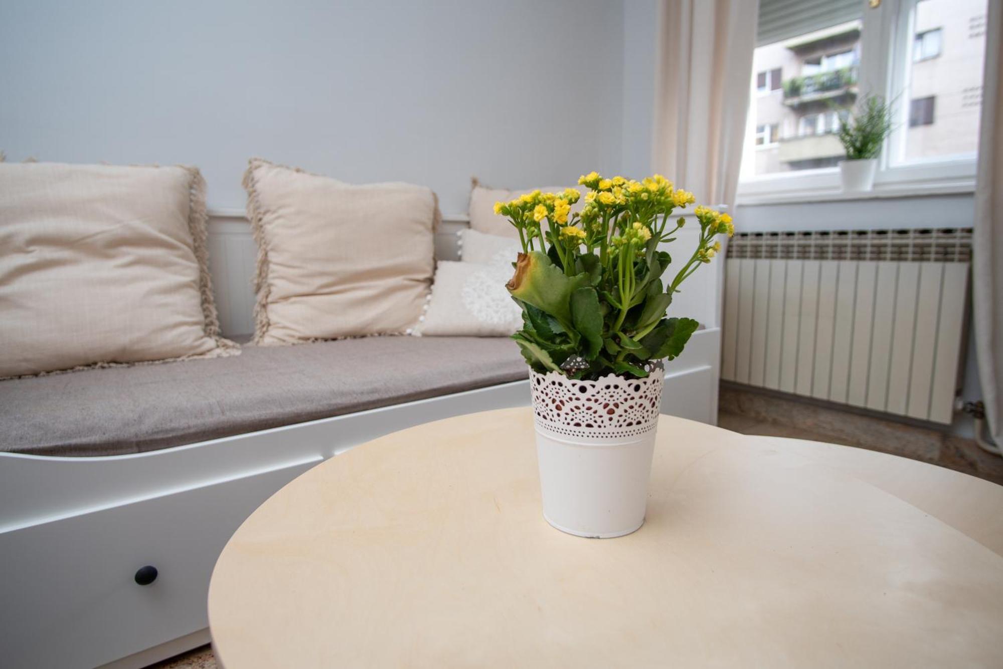 Apartma Downtown Lux *